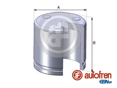 Piston, brake caliper (D02551)