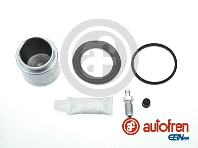 Repair Kit, brake caliper (D41061C)
