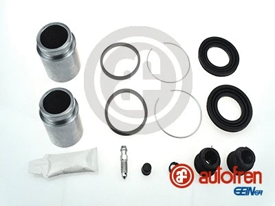 Repair Kit, brake caliper (D41880C)
