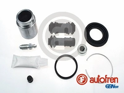 Repair Kit, brake caliper (D42591C)