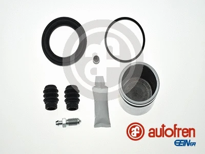 Repair Kit, brake caliper (D41893C)
