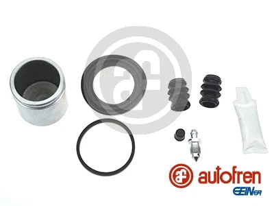 Repair Kit, brake caliper (D42022C)