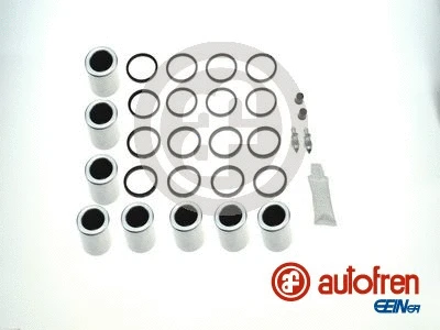 Repair Kit, brake caliper (D42713C)