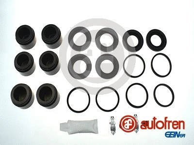 Repair Kit, brake caliper (D42431C)