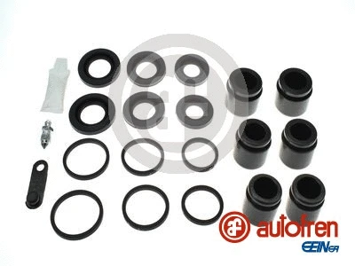 Repair Kit, brake caliper (D42311C)