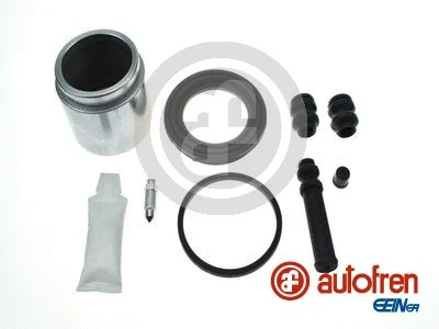 Repair Kit, brake caliper (D43009C)