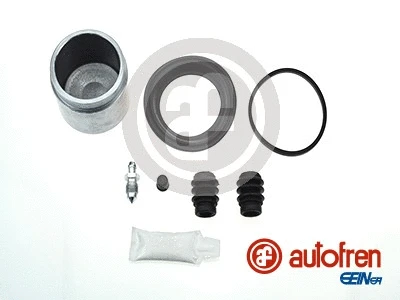 Repair Kit, brake caliper (D42030C)
