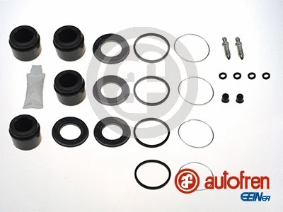 Repair Kit, brake caliper (D41622C)