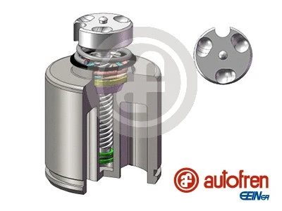 Piston, brake caliper (D025627RK)