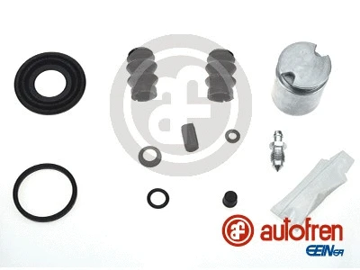 Repair Kit, brake caliper (D41910C)