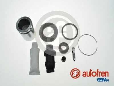 Repair Kit, brake caliper (D42021C)