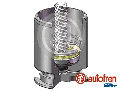 Piston, brake caliper (D02554LK)