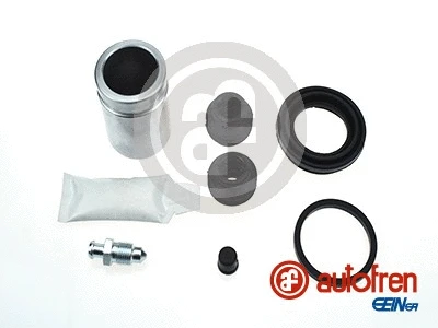 Repair Kit, brake caliper (D42026C)