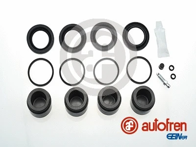 Repair Kit, brake caliper (D42006C)