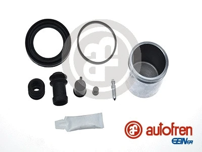 Repair Kit, brake caliper (D42002C)