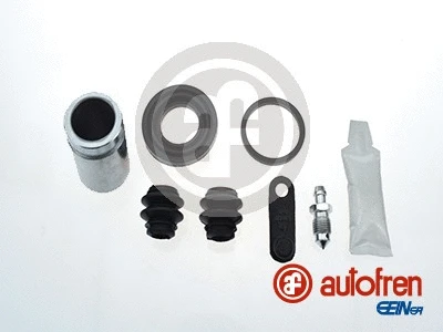 Repair Kit, brake caliper (D42509C)