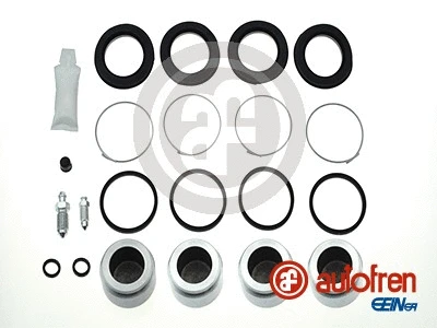 Repair Kit, brake caliper (D42321C)