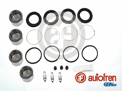 Repair Kit, brake caliper (D41181C)