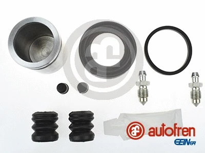 Repair Kit, brake caliper (D42163C)