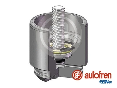 Piston, brake caliper (D025691LK)