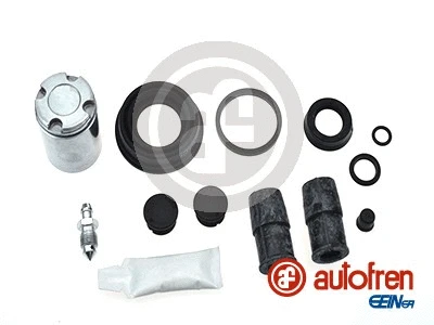 Repair Kit, brake caliper (D42456C)