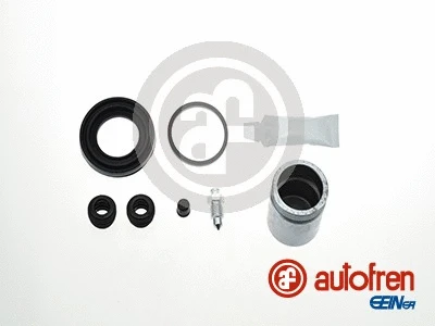 Repair Kit, brake caliper (D42122C)