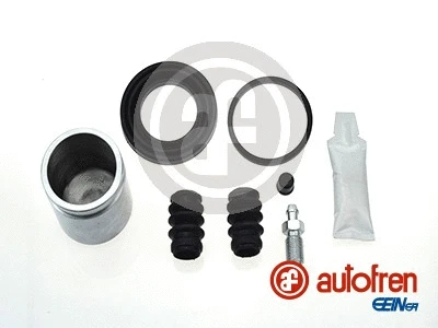 Repair Kit, brake caliper (D42198C)