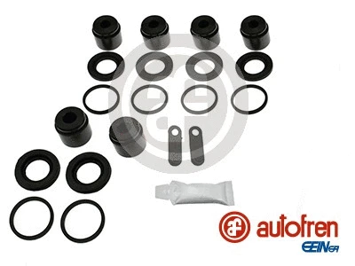 Repair Kit, brake caliper (D43160C)