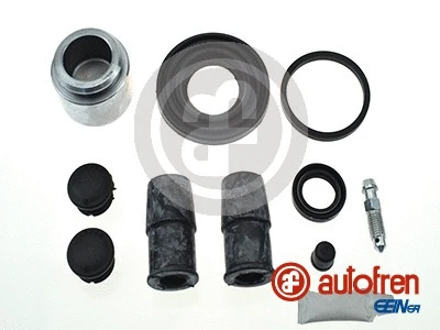 Repair Kit, brake caliper (D42165C)