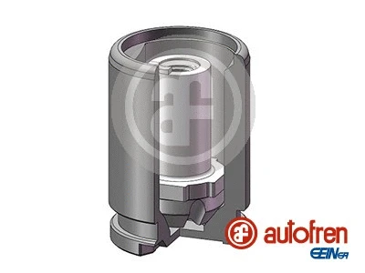 Piston, brake caliper (D025602K)
