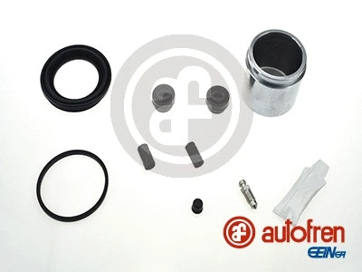 Repair Kit, brake caliper (D42231C)