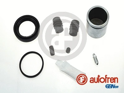 Repair Kit, brake caliper (D42301C)