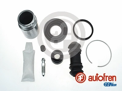 Repair Kit, brake caliper (D42209C)