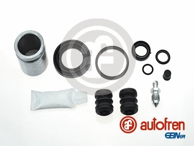 Repair Kit, brake caliper (D41979C)