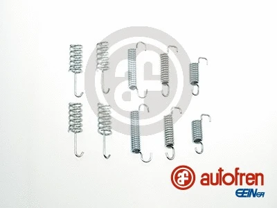 Accessory Kit, parking brake shoes (D31001A)