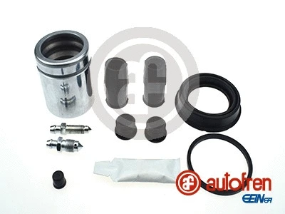 Repair Kit, brake caliper (D42156C)
