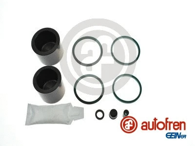 Repair Kit, brake caliper (D42077C)
