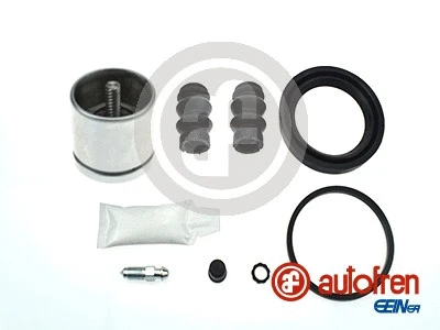 Repair Kit, brake caliper (D42171RK)