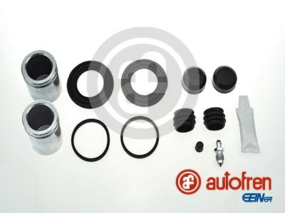 Repair Kit, brake caliper (D42366C)