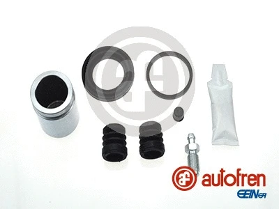 Repair Kit, brake caliper (D42160C)