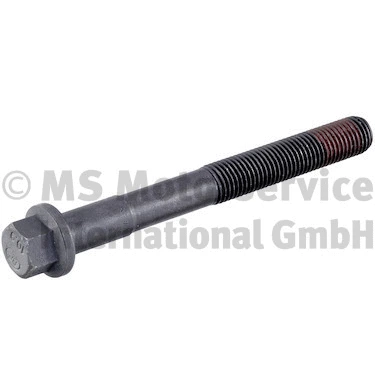 Cylinder Head Bolt (20080995008)
