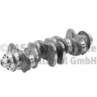 Crankshaft (20050390400)