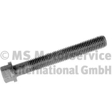 Cylinder Head Bolt (20080225000)