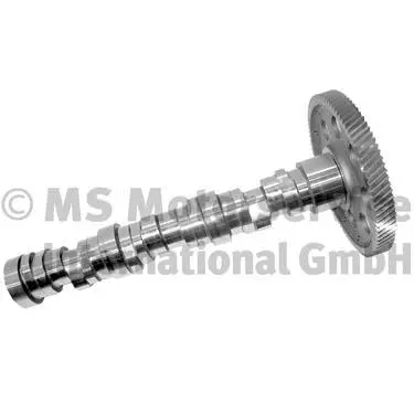 Camshaft (20100350100)