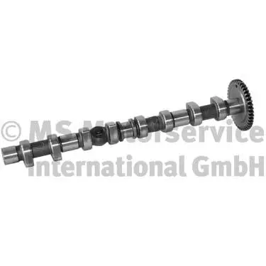 Camshaft (20100361101)