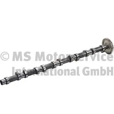 Camshaft (20100220661)