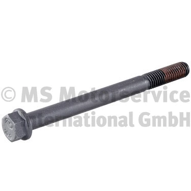 Cylinder Head Bolt (20080995009)