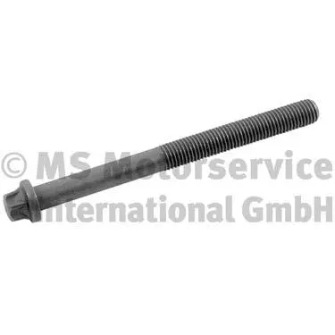 Cylinder Head Bolt (20080228012)
