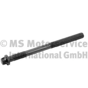 Cylinder Head Bolt (20080228768)