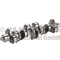 Crankshaft (20050393600)